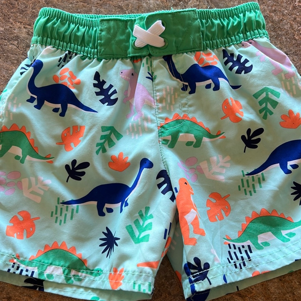 3T Cat & Jack Dino Swim Trunks
